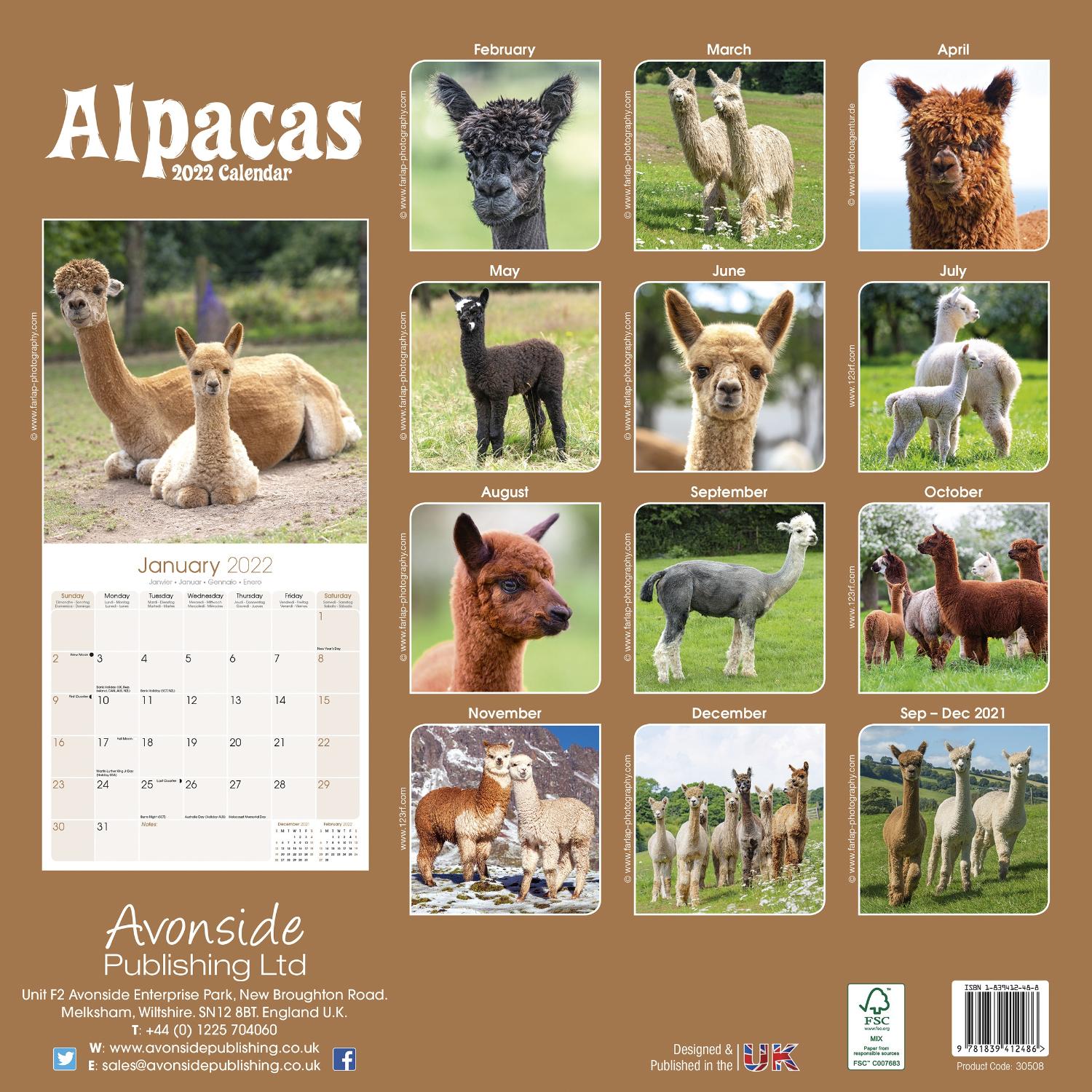 Alpacas Calendar  Animal Calendars  Pet Prints Inc