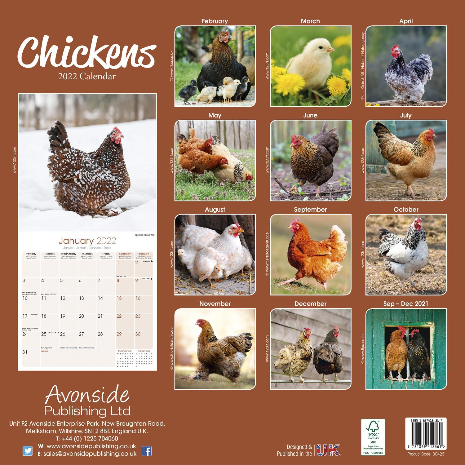 Chickens Calendar Animal Calendars Pet Prints Inc