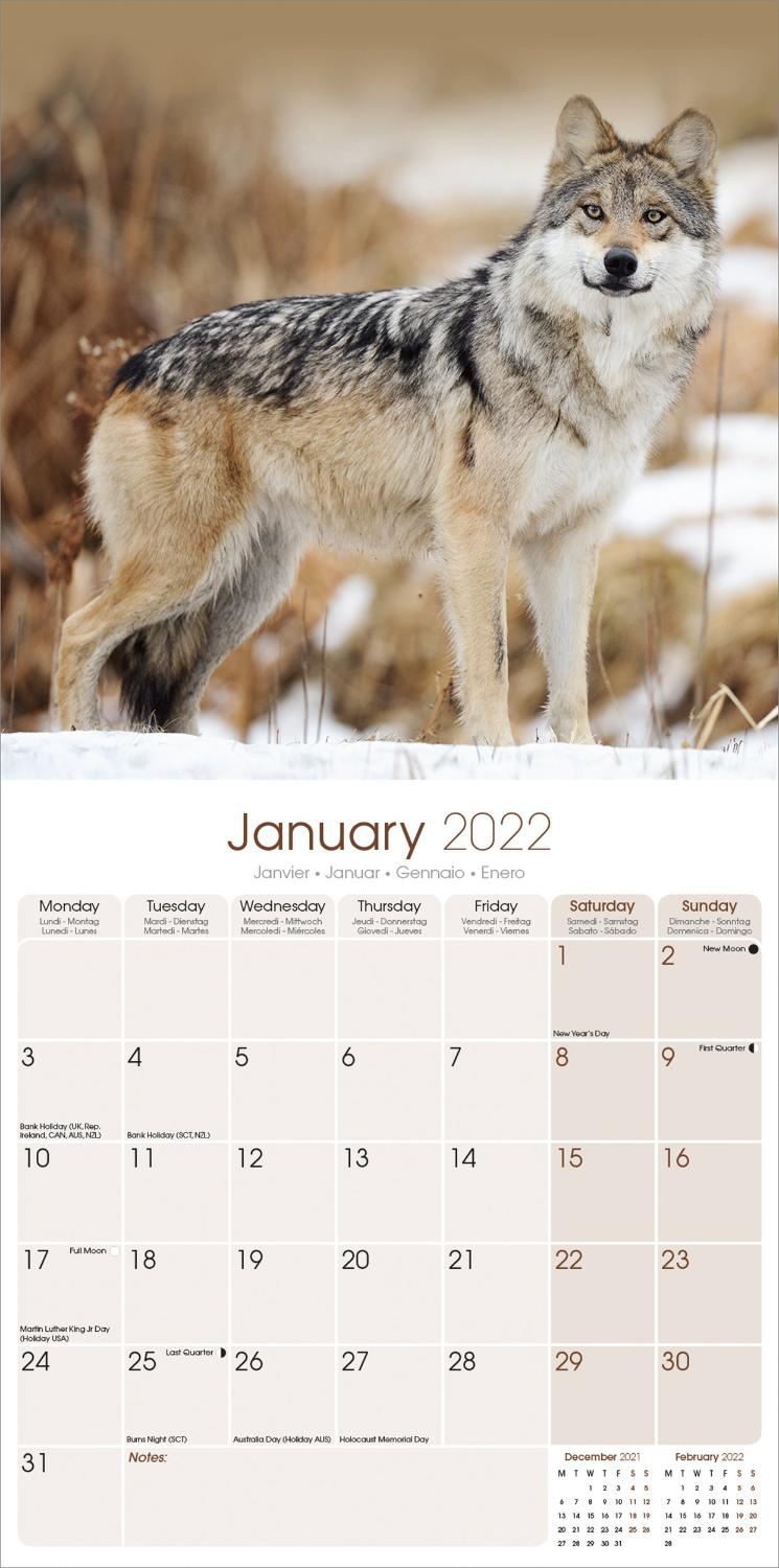 Wolves Calendar Animal Calendars Pet Prints Inc